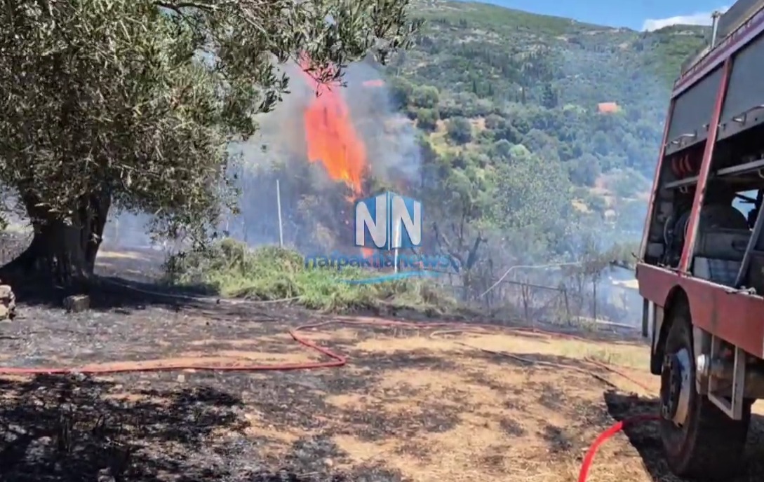 Φωτιά τώρα στη Μαμουλάδα Ναυπακτίας – Οι φλόγες πλησιάζουν σπίτια (Βίντεο)