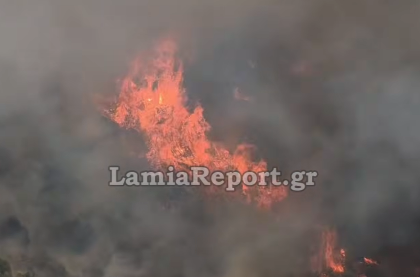 Σε πύρινο κλοιό Θεσσαλονίκη, Βοιωτία, Έβρος: Άνοιξε η Αθηνών – Λαμίας (Εικόνες, βίντεο)