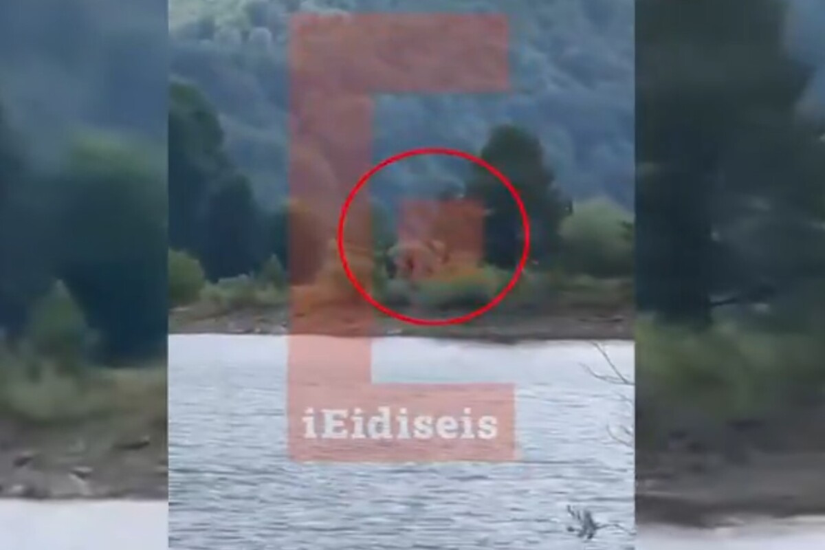 ελικόπτερο