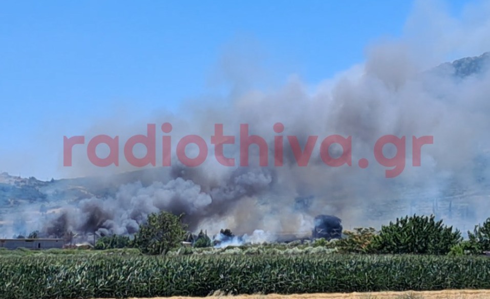 Μάχη με τις φλόγες στην Πέτρα Βοιωτίας – Μήνυμα 112 για εκκένωση (Εικόνες, βίντεο)