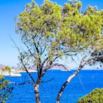 Καιρός Καλοκαίρι