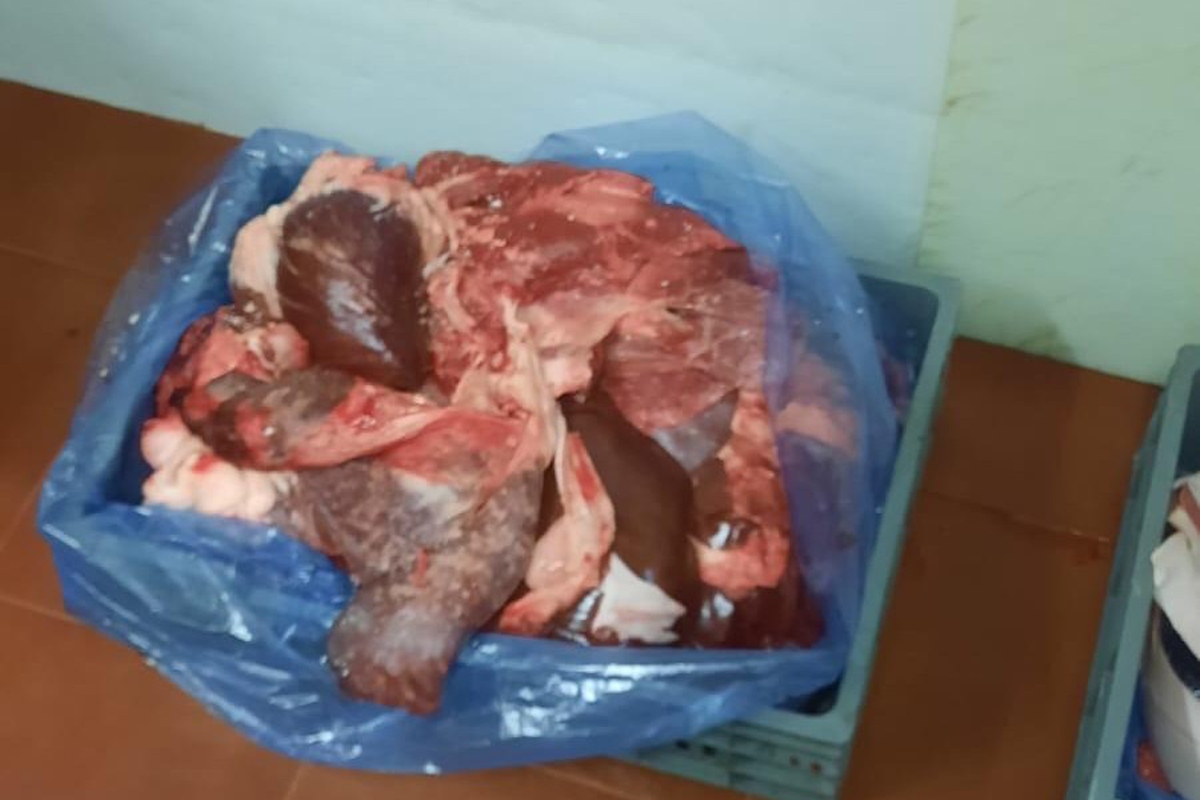 Υγειονομική «βόμβα»: 5,3 τόνοι ακατάλληλου κρέατος – Θα πήγαιναν σε νησιά και ξενοδοχεία