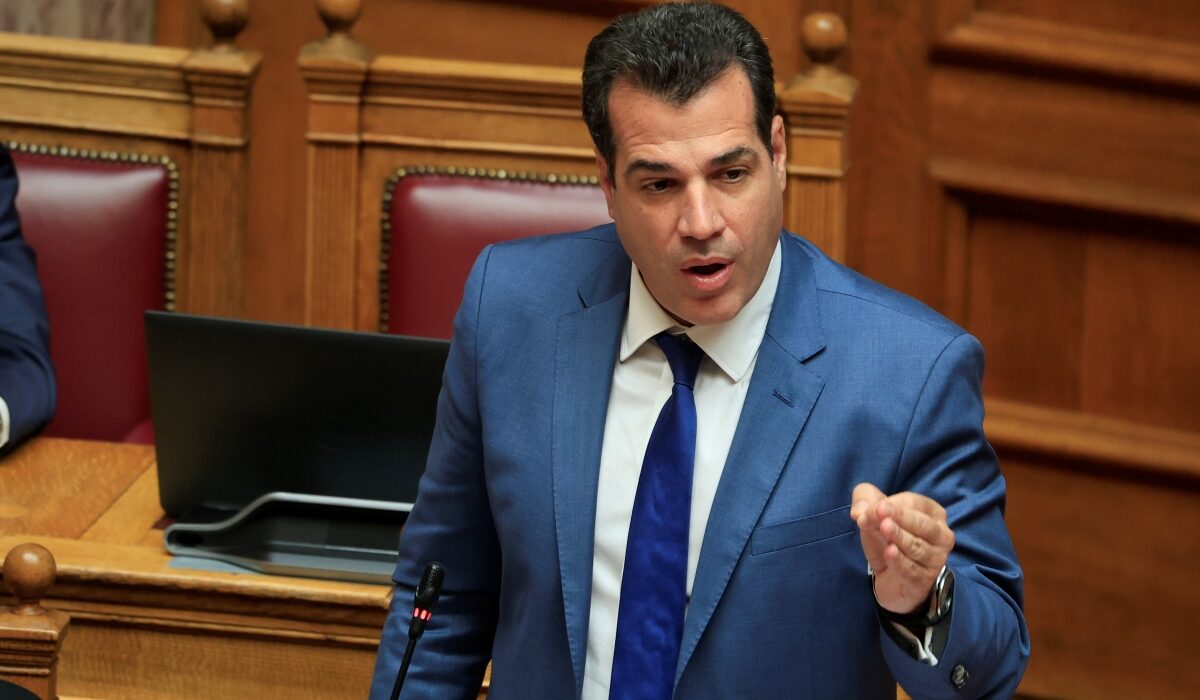 Ο Πλεύρης θέλει κέντρα εκτοπισμού μεταναστών στις χώρες της… Αφρικής