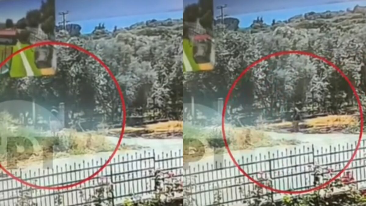 «Με εκνευρίζουν οι θάμνοι»: Η αδιανόητη δικαιολογία του 50χρονου εμπρηστή στο Αγρίνιο