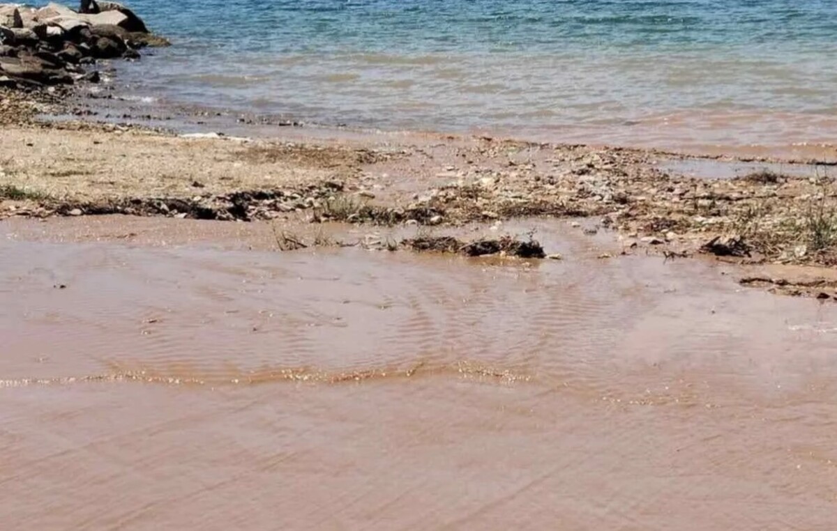 ΧΑΛΚΙΔΙΚΗ ΒΙΟΛΟΓΙΚΟΣ ΠΑΡΑΛΙΑ