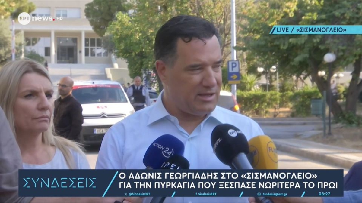 Άδωνις από Σισμανόγλειο: H φωτιά ξεκίνησε από στρώμα ασθενή