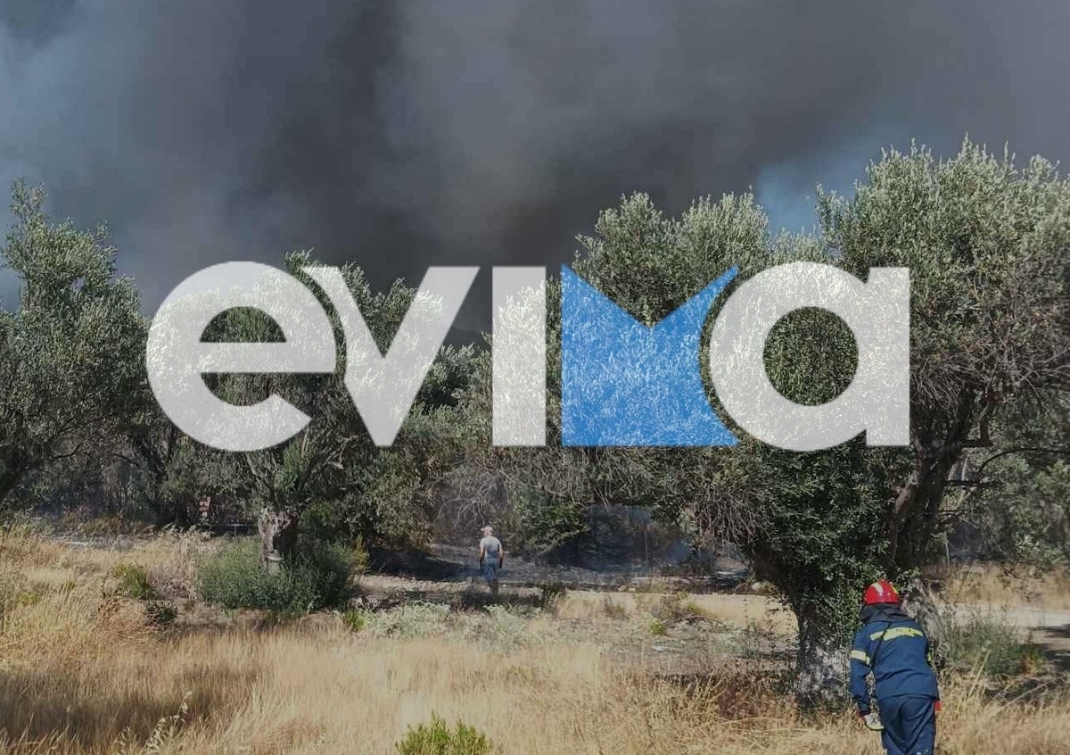 Χωρίς ενεργό μέτωπο η φωτιά στα Πολιτικά Ευβοίας