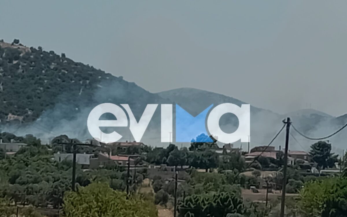 Φωτιά και 112 στην Εύβοια: Πυρκαγιά στο Αλιβέρι