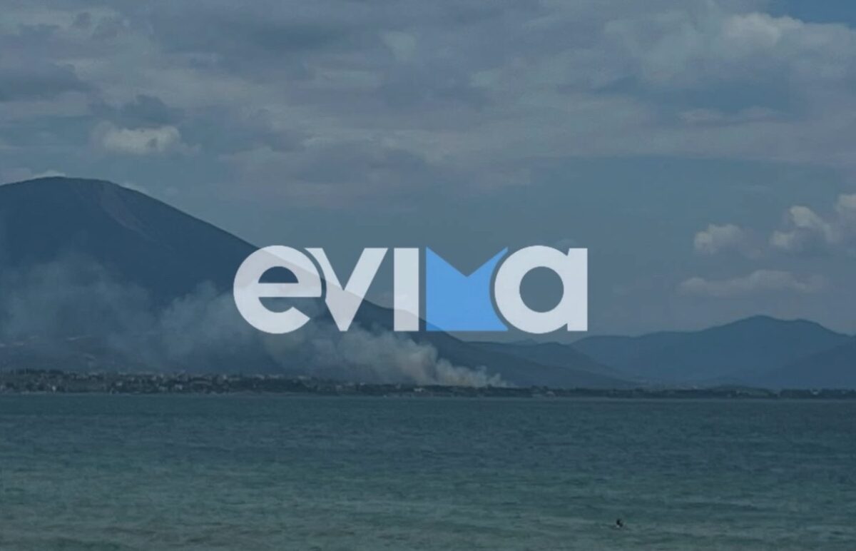 Καλύτερη η εικόνα από τη φωτιά στην Εύβοια: Σηκώθηκαν εναέρια μέσα – Ήχησε το 112