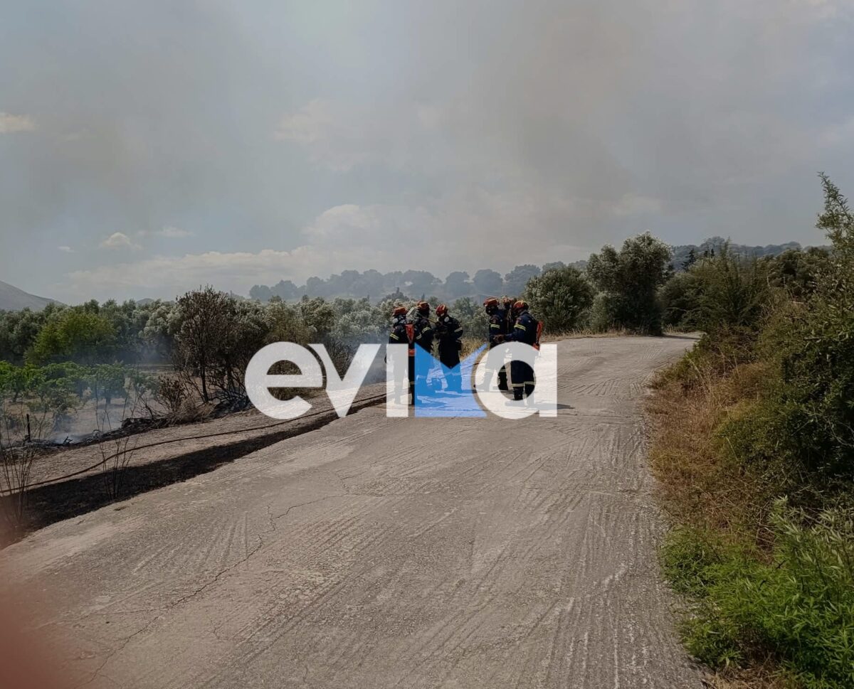 Χωρίς ενεργό μέτωπο η φωτιά στο Αλιβέρι Ευβοίας