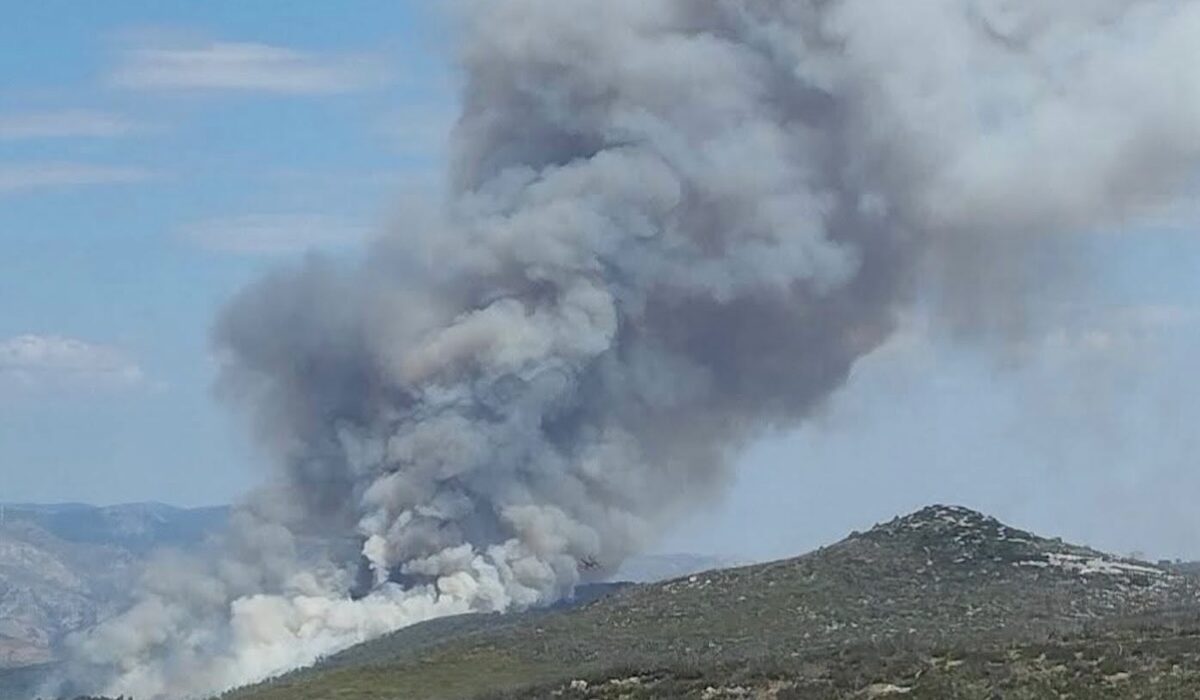 Φωτιά Οινόη