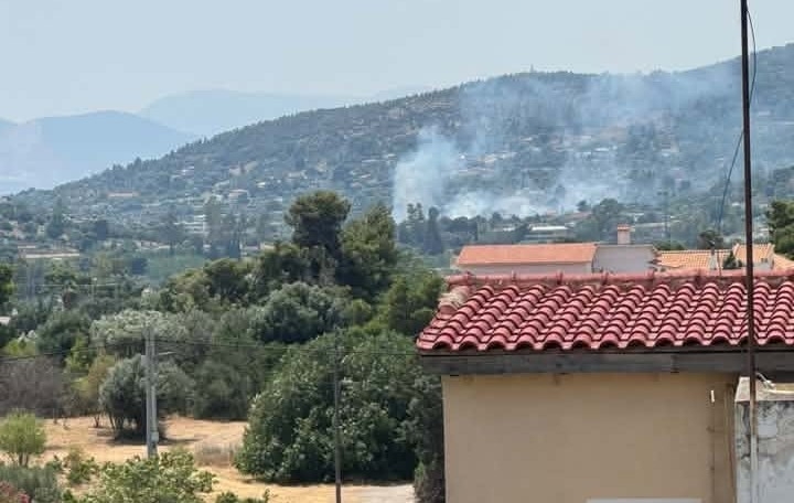Υπό έλεγχο η φωτιά που ξέσπασε στην Παλλήνη κοντά στο κτήμα Νάσιουτζικ