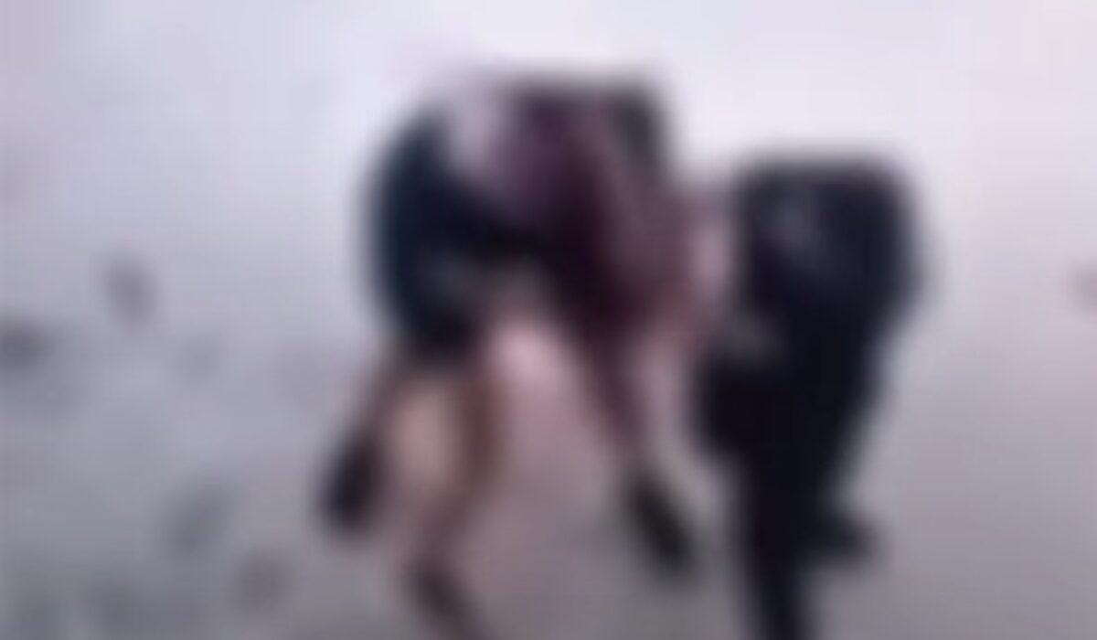 Απίστευτο βίντεο από τον άγριο ξυλοδαρμό ανήλικης στην Κρήτη – Προσοχή σκληρές εικόνες